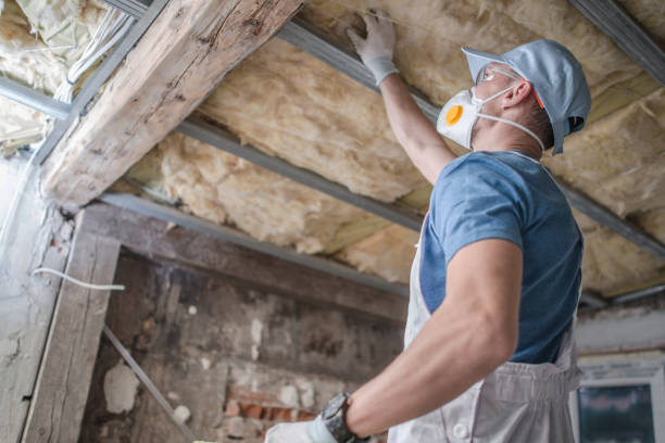 Best Cellulose Insulation  in Irwin, PA
