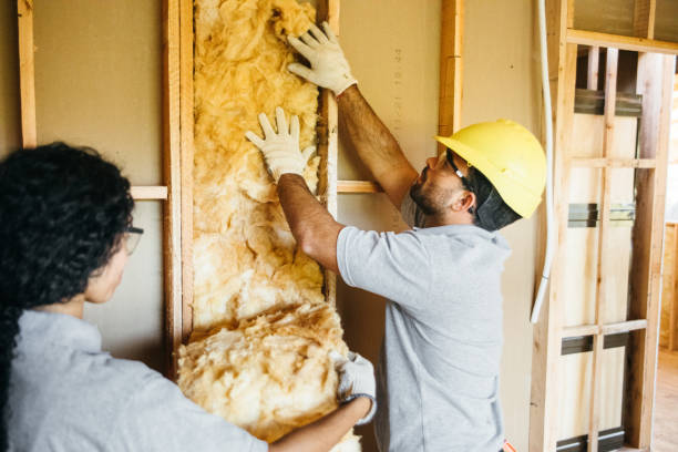 Best Energy-efficient Insulation  in Irwin, PA